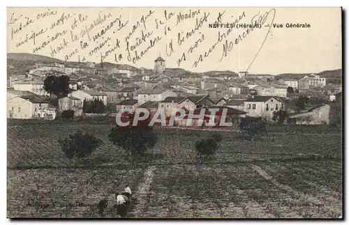 Neffies - Vue Generale - Cartes postales