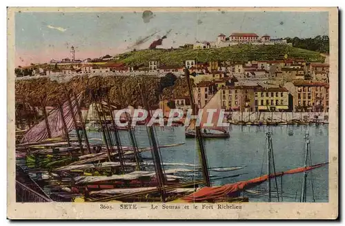 Cette sete Cartes postales Le Souras et le fort richelieu