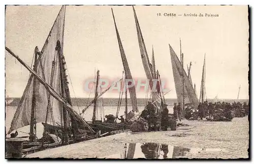 Sete - Cette - Arrivee du Poisson - fish - Cartes postales