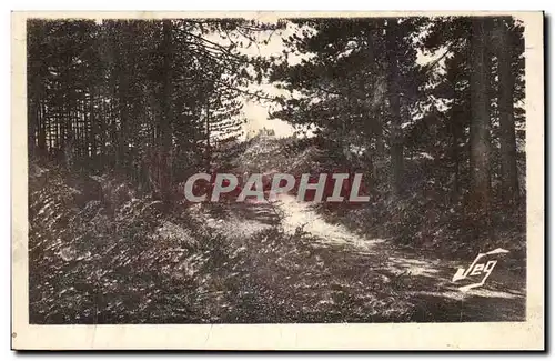 Le Vigan - Environs de Montdardier - La Foret de Pins Au fond le Chateau Ansichtskarte AK