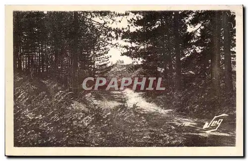 Le Vigan Environs Montdardier Ansichtskarte AK La foret de pins Au fond le chateau