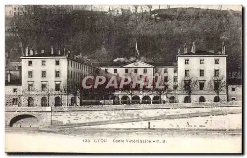 Lyon Cartes postales Ecole veterinaire