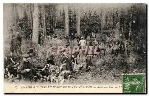 Cartes postales Chasse a courre en foret de Fontainebleau Repos sous bois (chiens dog dogs)