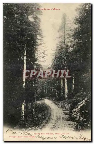 Pres Quillan - Foret des Fanges -- Cartes postales