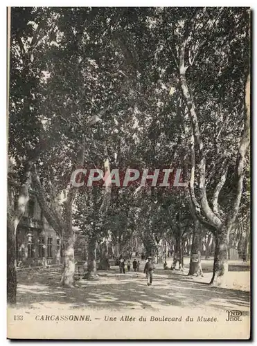 Carcassonne Cartes postales Une allee du boulevard du musee