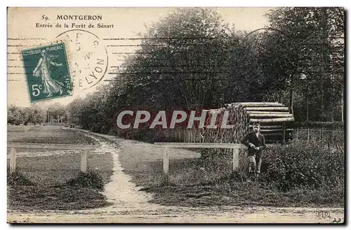 Montgeron Cartes postales Entree de la foret de Senart