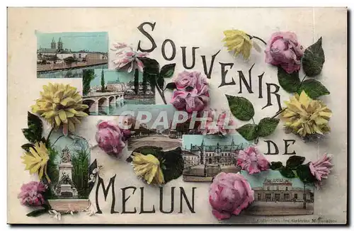 Cartes postales Melun Souvenir Fleurs