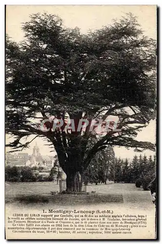 Cartes postales Montigny Lencoup Cedre du Liban (arbre tree)