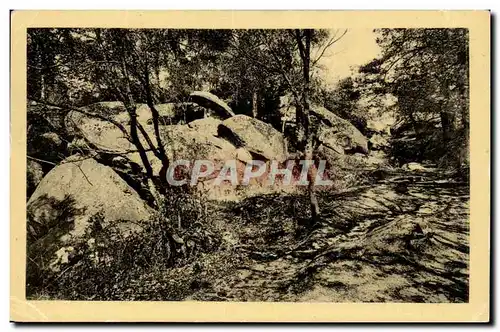 Fontainebleau - Le Foret - Les Gorges de Franchart - Ansichtskarte AK