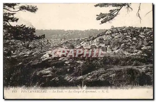 Fontainebleau Ansichtskarte AK la foret Les gorges d&#39Apremont