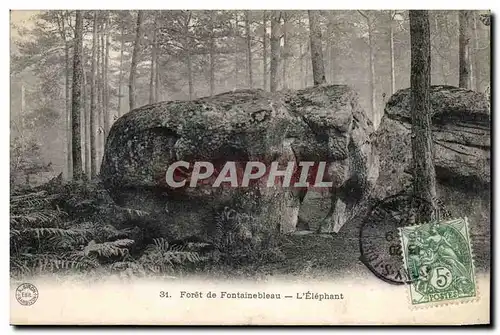 Foret de Fontainebleau Cartes postales L&#39elpehant