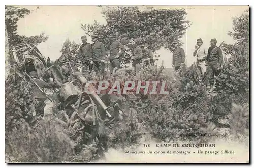 Ansichtskarte AK Camp de coetquidan Manoeuvre du canon de montagne Un passage difficile TOP (militaria)