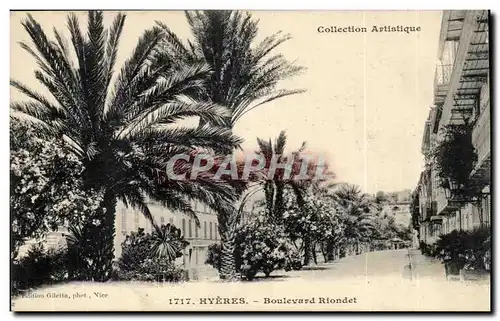 Hyeres - Boulevard Riodet - Palmiers - Cartes postales