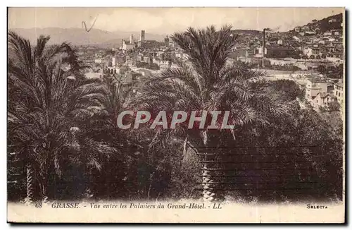 Grasse - Vue entre les Palmiers du Grand Hotel - Ansichtskarte AK