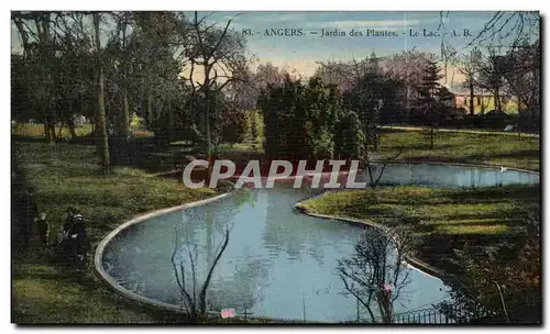 Angers - jardin des Plantes Le lac - blue tint - Ansichtskarte AK