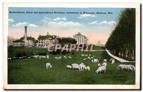 Etas Unis - United States - USA - Madison Wisconsin - Horticultural Dairy and Agricultural Buildings
