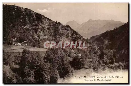 Vallee des Essurieux - Vue sur le Mont Charvin - Ansichtskarte AK