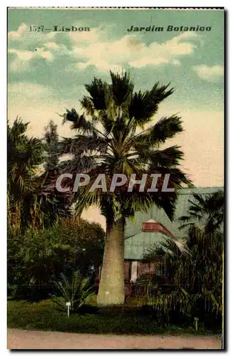 Portugal - Lisboa - Lisbon - Jardin Botanico - palmier - Cartes postales