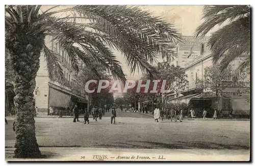 Afrique - Tunisie - Africa - Tunis - Avenue de France - Cartes postales