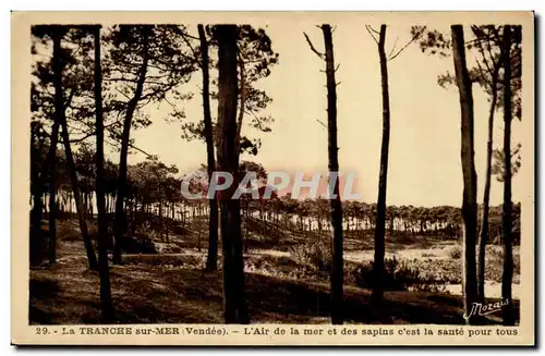 La Tranche sur mer Cartes postales L&#39air de la mer et des sapins c&#39est la sante pour tou