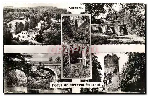 Cartes postales moderne Souvenir de Foret de Mervent Vouvant