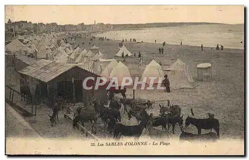 SAbles d'olonne Cartes postales La plage (ane donkey mule)