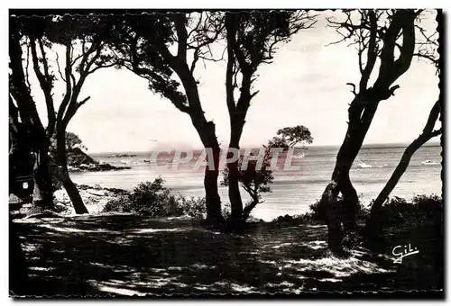 Noirmoutier Cartes postales Echappee sur la mer au bois La Chaise