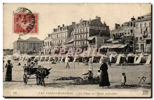 Cartes postales Les Sables d'olonne La plage et l'hotel Splendide ( ane donkey mule )