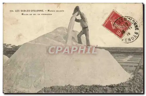 Cartes postales Les Sables d'olonne Marais salants Mulon de sel en formation