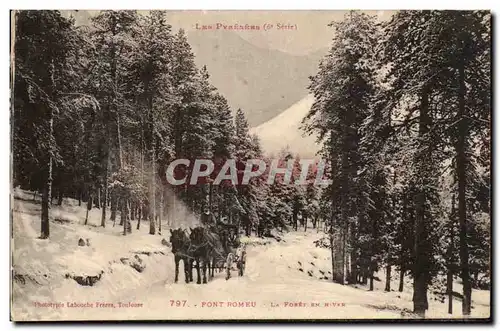 Font Romeu Cartes postales La foret en hiver (cheval) traineau)