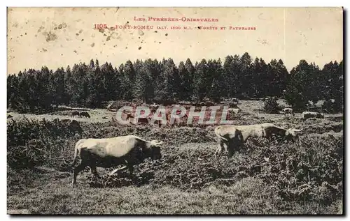 Font Romeu Ansichtskarte AK Forets et paturages (vaches)