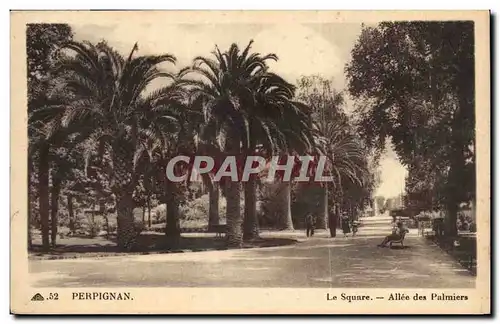 Perpignan Ansichtskarte AK Le square Allee des Palmiers