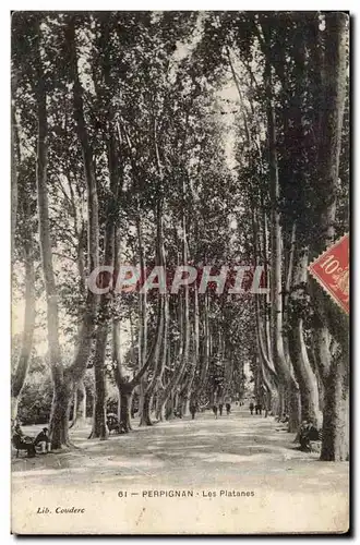 Perpignan Cartes postales Les platanes