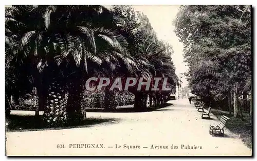 Perpignan Ansichtskarte AK Le square Avenue des palmiers