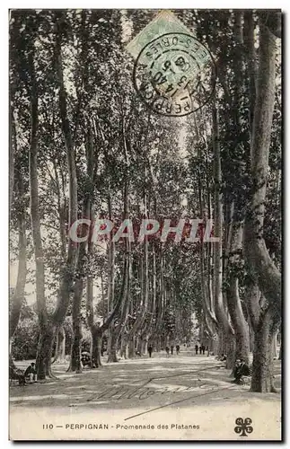 Perpignan Cartes postales Promenade des platanes