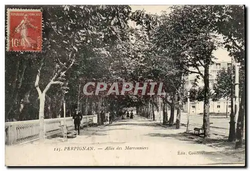 Perpignan Cartes postales Allee des Marronniers