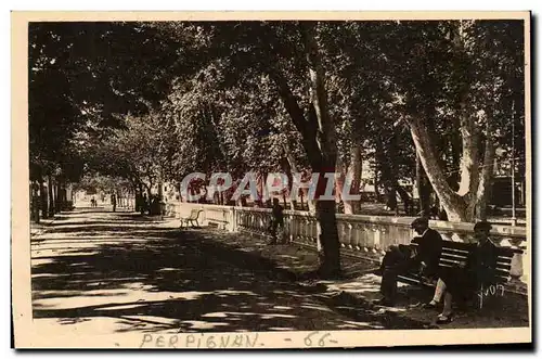 Perpignan Cartes postales Allee des Marronniers