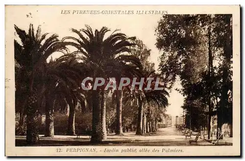 Perpignan Ansichtskarte AK Jardin public allee des Palmiers