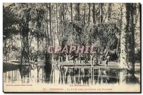 Perpignan - la Piece d&#39eau du jardin des plantanes - Cartes postales