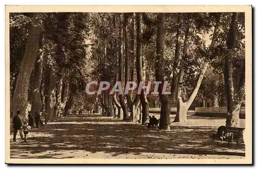 Perpignan - Les Plantanes - Cartes postales