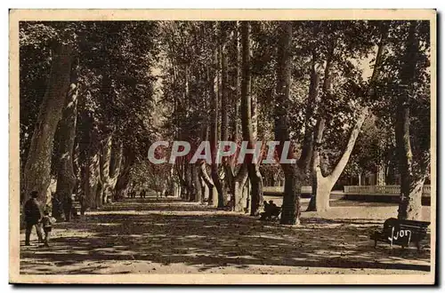 Perpignan - Les Plantanes - Cartes postales