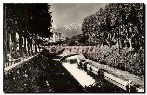 Perpignan - Les Quais fleuris de la Basse et au fond le Canigou - Ansichtskarte AK