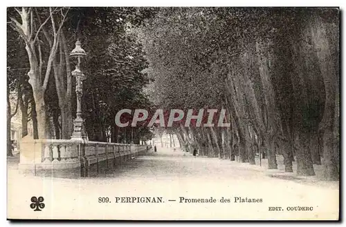 Perpignan - Promenades des Plantanes Cartes postales