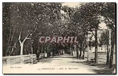 Perpignan - Allee des Marronniers Cartes postales