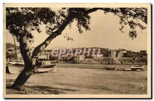 Banyuls sur Mer - Un Coin de Parc - Cartes postales