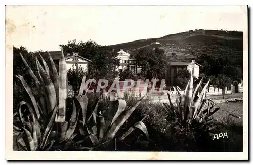 Banyuls sur Mer - Entree du Sanatorium - Cartes postales