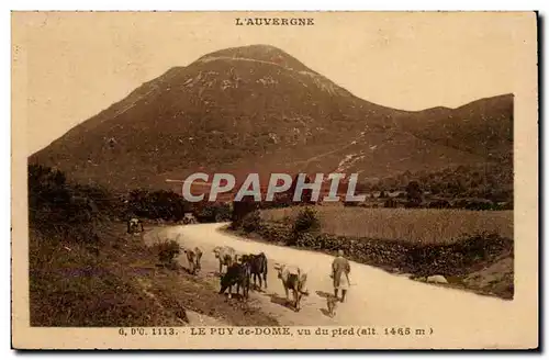 Le puy de Dome Ansichtskarte AK Vu du pied (vaches)