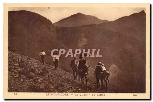 Ansichtskarte AK Auvergne Le mont Dore Le chemin du Sancy (ane donkey)