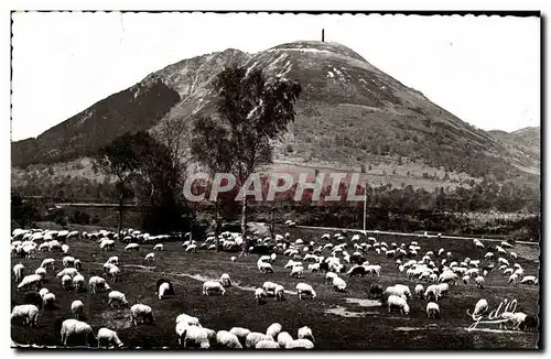 Auvergne Cartes postales Paturages au pied du Puy de Dome (moutons)