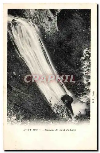 Le Mont Dore - Cascade du Saut du Loup - Ansichtskarte AK